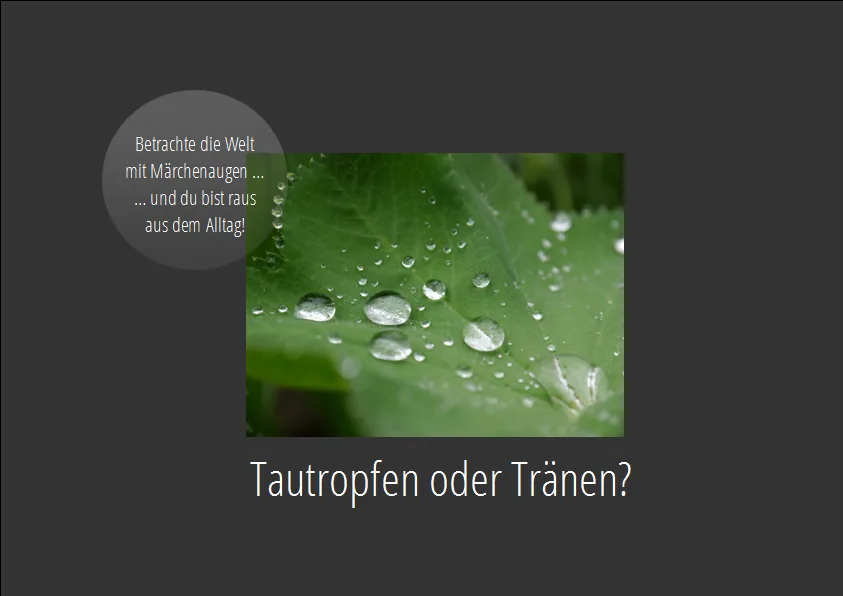 Märchenaugen: Blatt des Frauenmantels