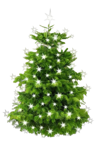 Weihnachtsfeier Ludwigsburg – Theater-Erlebnis-Tour im Schlosspark mit Gouvernante Caterina