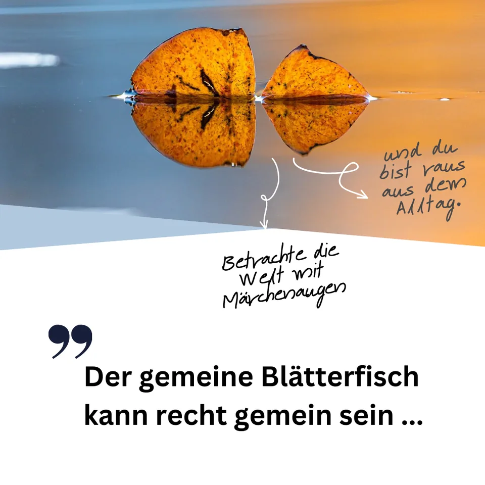Märchenaugen: Blätterfisch
