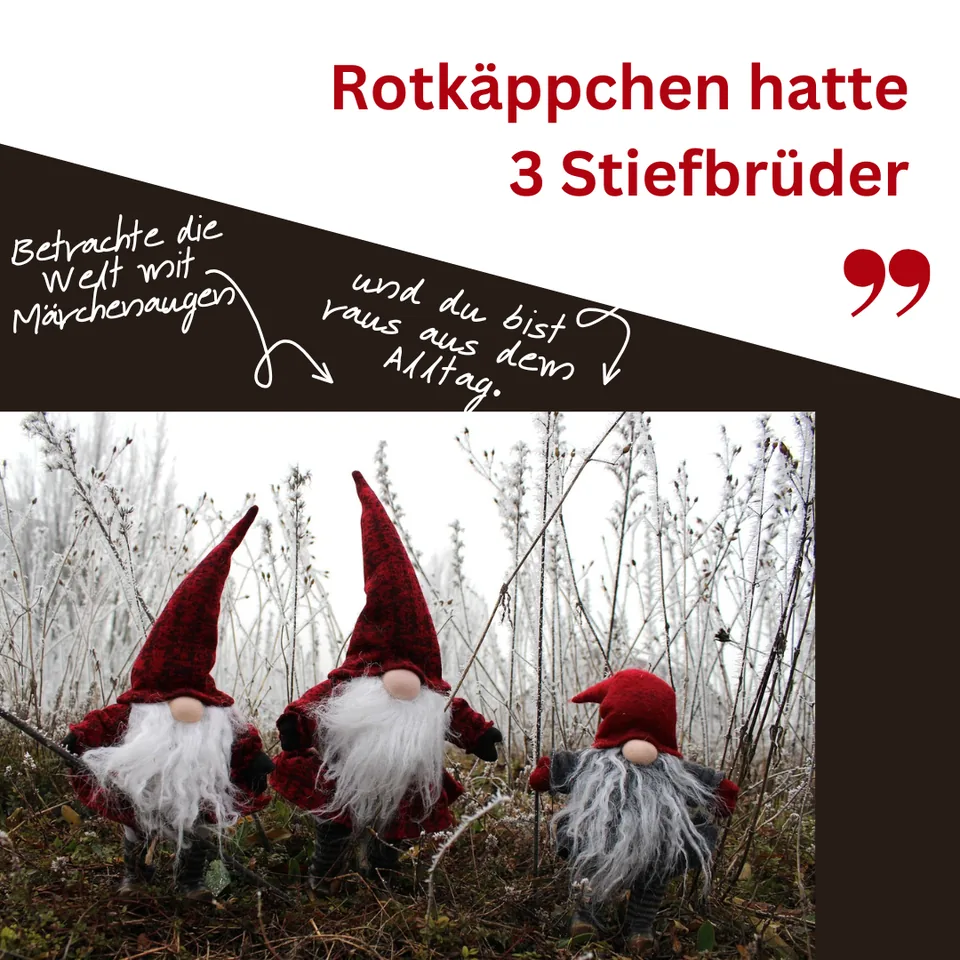 Märchenaugen: Rotkäppchens Brüder