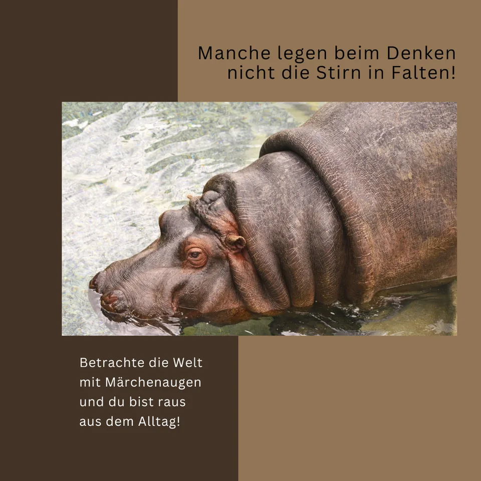 Märchenaugen: Motiv eines Nilpferdes