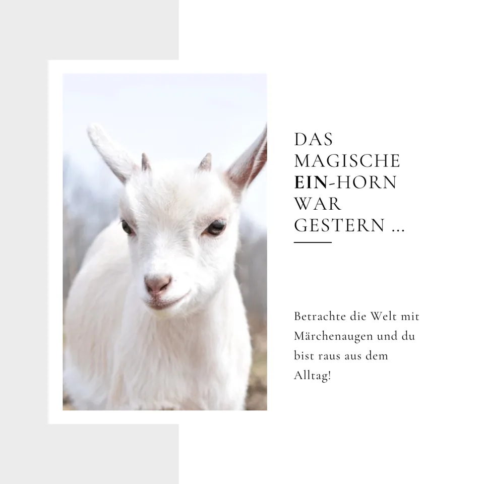 Märchenaugen - Einhorn