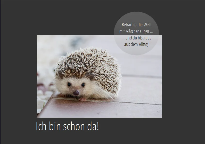 Märchenaugen: kleiner Igel