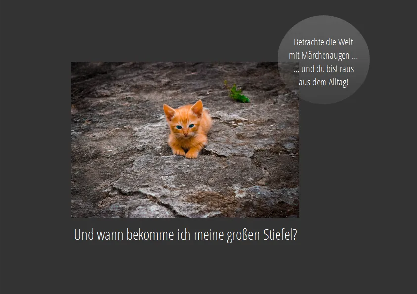 Märchenaugen: kleine rote Katze