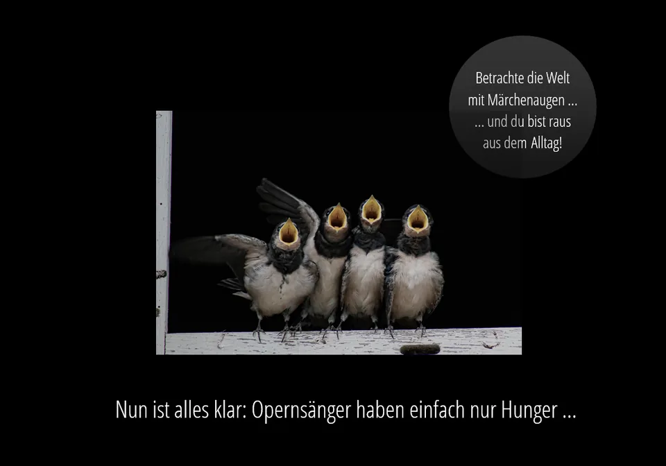 Märchenaugen: hungrige Vögel