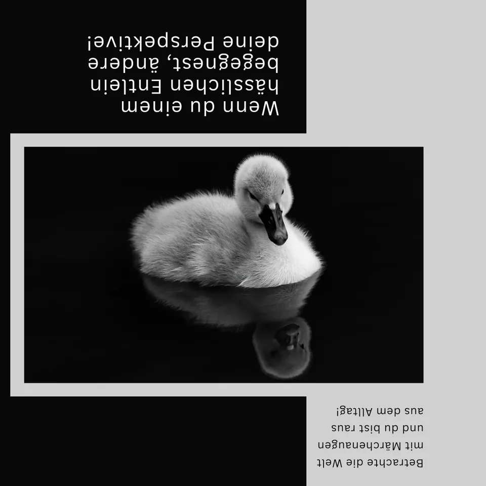 Märchenaugen: Motiv einer Ente
